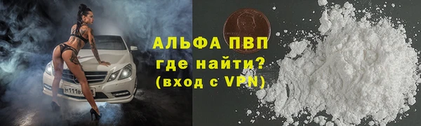 шишки Покачи