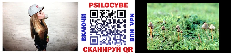 купить закладку Судак Псилоцибиновые грибы Cubensis